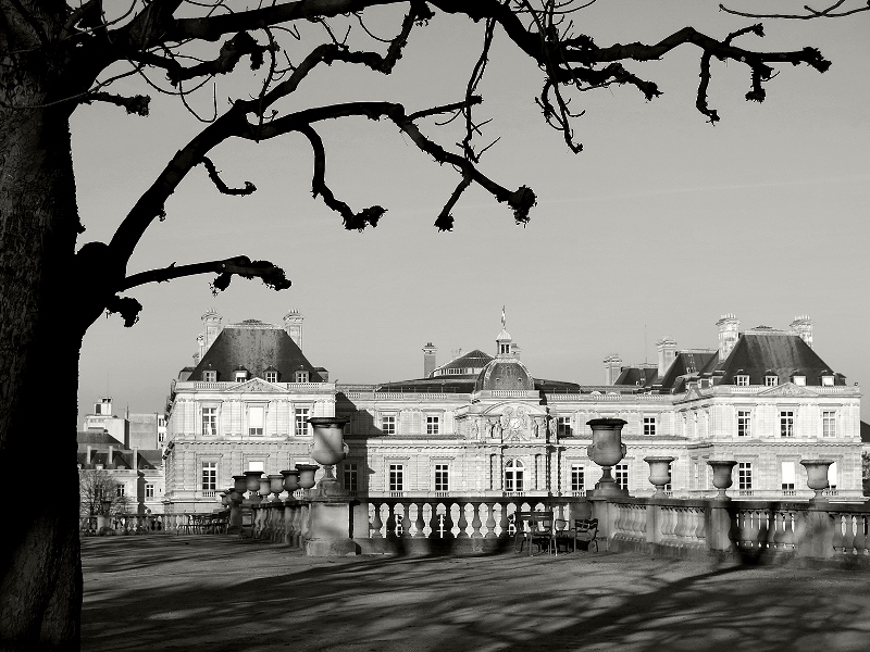 Natural Rhythm. Paris @ Sonia Costa