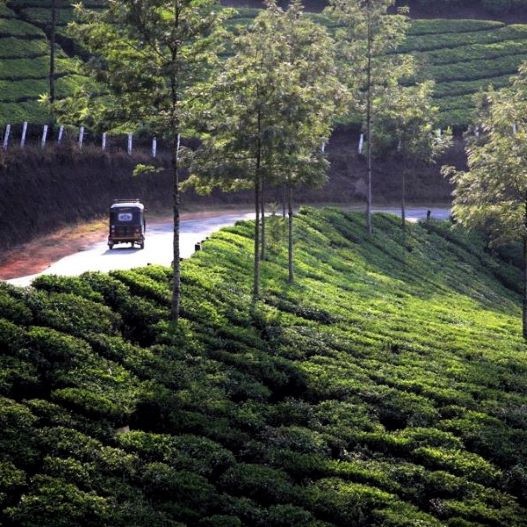 copertina Landscapes, India